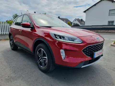 Annonce FORD KUGA Essence 2022 d'occasion 