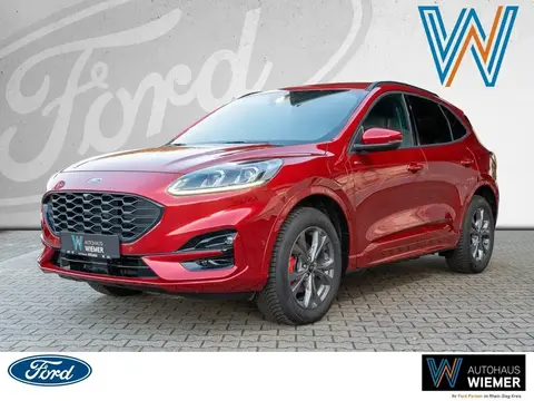 Used FORD KUGA Hybrid 2024 Ad 