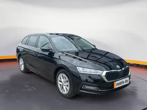 Annonce SKODA OCTAVIA Diesel 2024 d'occasion 