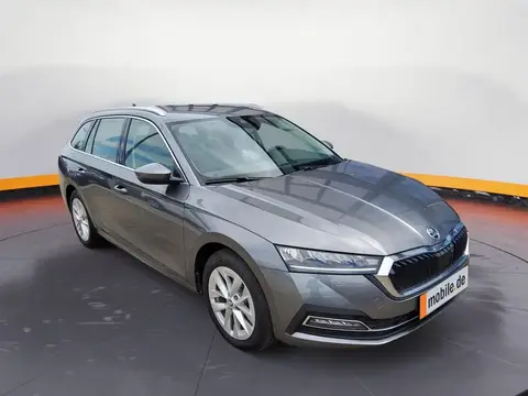 Used SKODA OCTAVIA Diesel 2023 Ad 