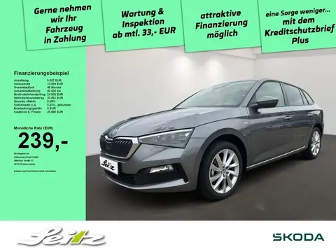 Annonce SKODA SCALA Essence 2024 d'occasion 