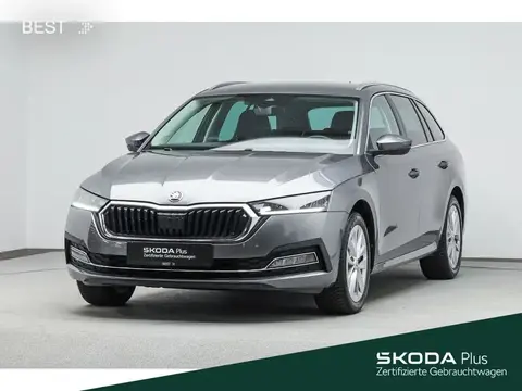 Used SKODA OCTAVIA Petrol 2023 Ad 