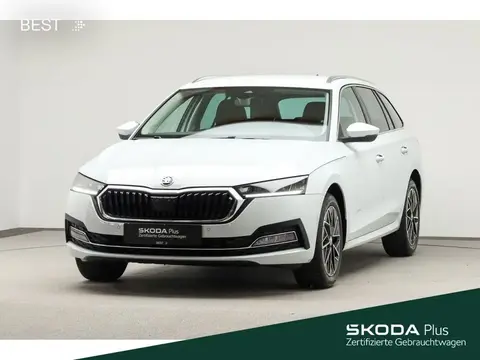 Annonce SKODA OCTAVIA Diesel 2023 d'occasion 