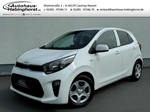 Annonce KIA PICANTO Essence 2024 d'occasion 