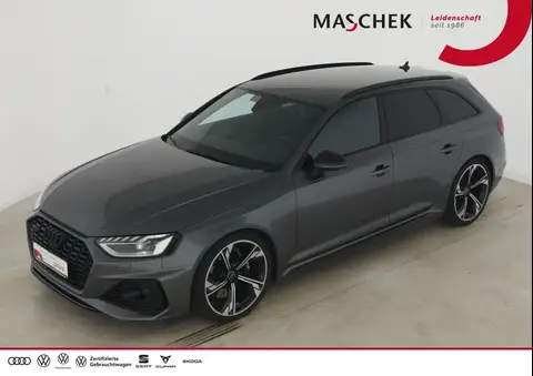 Used AUDI RS4 Petrol 2023 Ad 