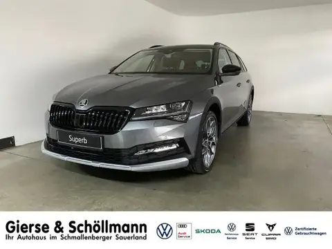 Annonce SKODA SUPERB Diesel 2024 d'occasion 