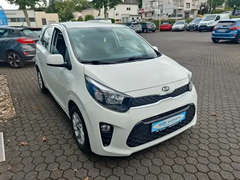 Annonce KIA PICANTO Essence 2019 d'occasion 