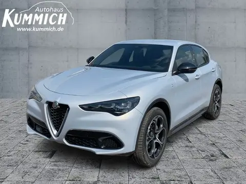 Used ALFA ROMEO STELVIO Petrol 2023 Ad 