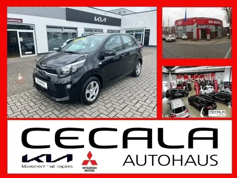 Used KIA PICANTO Petrol 2024 Ad 