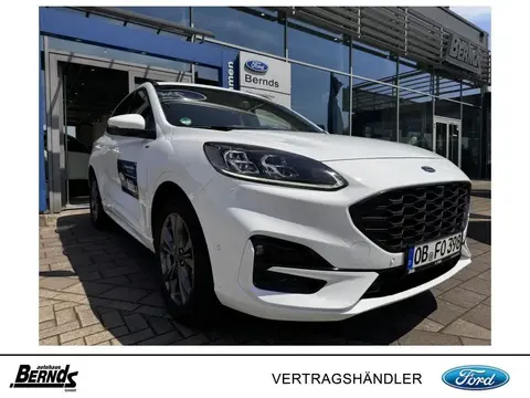 Used FORD KUGA Hybrid 2023 Ad 