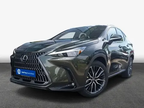 Used LEXUS NX Hybrid 2023 Ad 