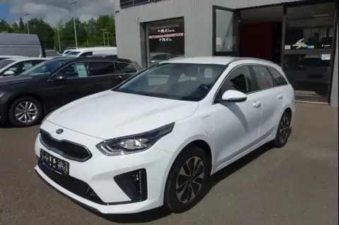 Annonce KIA CEED Hybride 2021 d'occasion 