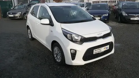 Used KIA PICANTO Petrol 2023 Ad 