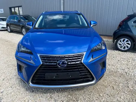 Used LEXUS NX Hybrid 2019 Ad 