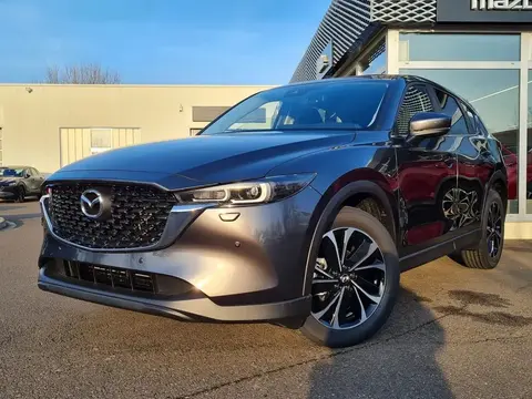 Used MAZDA CX-5 Petrol 2024 Ad 