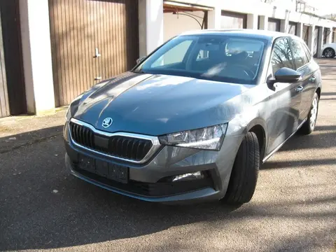 Annonce SKODA SCALA Essence 2019 d'occasion 