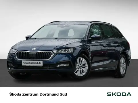 Annonce SKODA OCTAVIA Essence 2024 d'occasion 