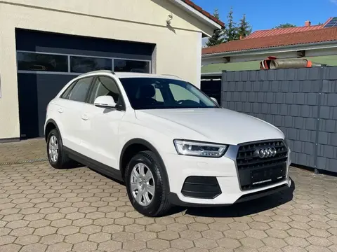 Used AUDI Q3 Diesel 2017 Ad Germany