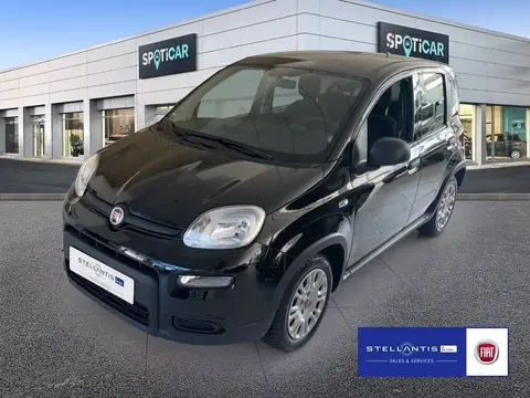 Used FIAT PANDA Petrol 2023 Ad 