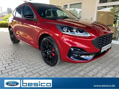 Used FORD KUGA Hybrid 2023 Ad 