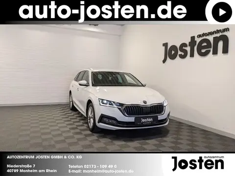 Used SKODA OCTAVIA Diesel 2023 Ad 