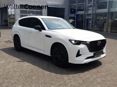 Annonce MAZDA CX-60 Diesel 2023 d'occasion 