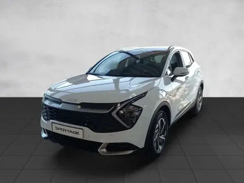 Used KIA SPORTAGE Petrol 2024 Ad 