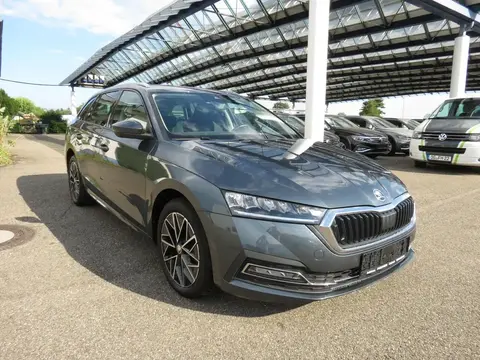 Used SKODA OCTAVIA Diesel 2022 Ad 