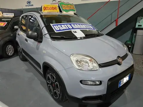 Used FIAT PANDA Hybrid 2022 Ad 