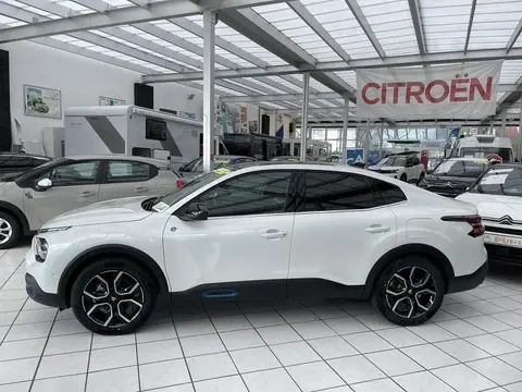 Annonce CITROEN C4 Non renseigné 2024 d'occasion 