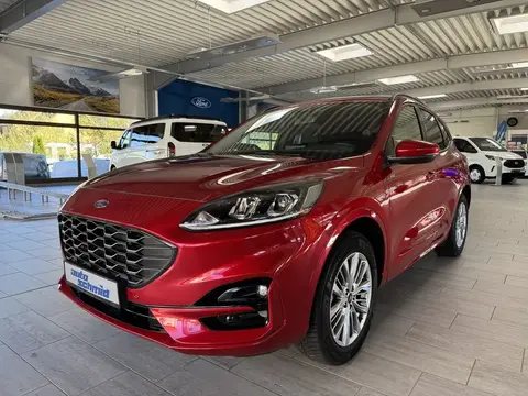 Used FORD KUGA Hybrid 2023 Ad 