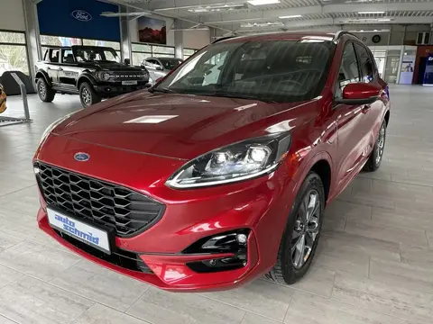 Annonce FORD KUGA Hybride 2021 d'occasion 