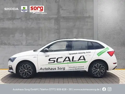 Annonce SKODA SCALA Essence 2024 d'occasion 