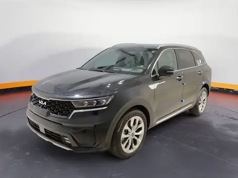 Used KIA SORENTO Diesel 2024 Ad 