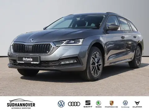 Annonce SKODA OCTAVIA Diesel 2024 d'occasion 