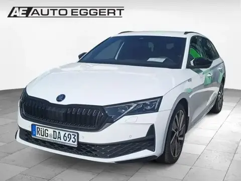 Annonce SKODA OCTAVIA Essence 2024 d'occasion 