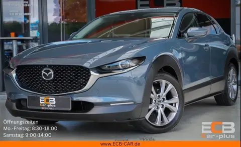 Annonce MAZDA CX-30 Diesel 2019 d'occasion 