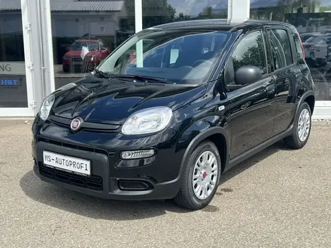 Annonce FIAT PANDA Essence 2024 d'occasion 