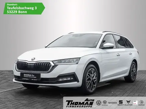 Used SKODA OCTAVIA Petrol 2023 Ad 