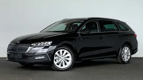 Used SKODA OCTAVIA Diesel 2024 Ad 