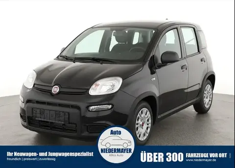 Used FIAT PANDA Petrol 2024 Ad 