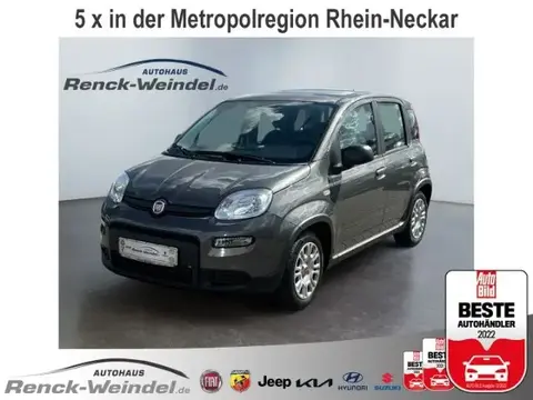 Used FIAT PANDA Petrol 2024 Ad 