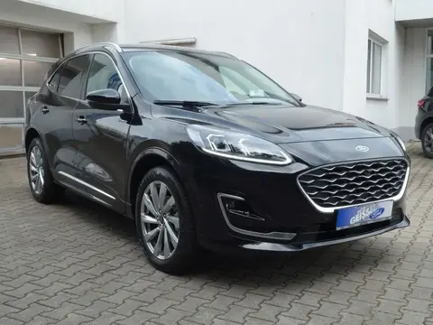 Annonce FORD KUGA Hybride 2023 d'occasion 