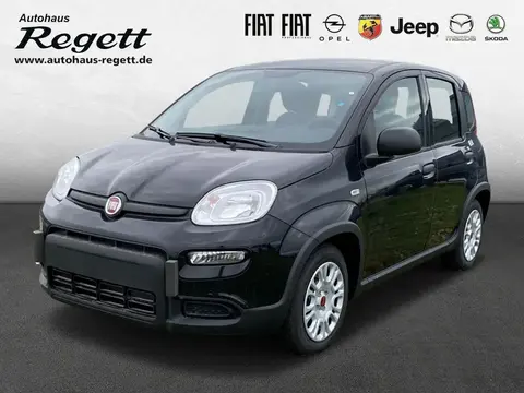 Used FIAT PANDA Petrol 2024 Ad 