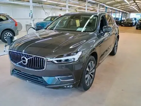 Annonce VOLVO XC60 Diesel 2021 d'occasion 