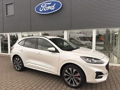 Used FORD KUGA Hybrid 2023 Ad 