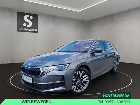 Annonce SKODA OCTAVIA Diesel 2024 d'occasion 