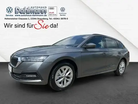 Used SKODA OCTAVIA Petrol 2024 Ad 