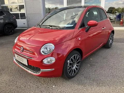 Used FIAT 500 Petrol 2023 Ad 