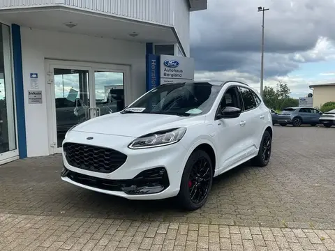 Used FORD KUGA Hybrid 2024 Ad 